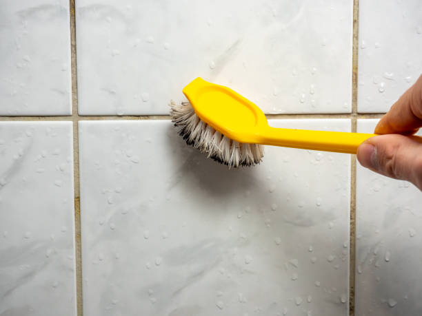 Best Residential Mold Remediation in Mp Pendleton South, CA