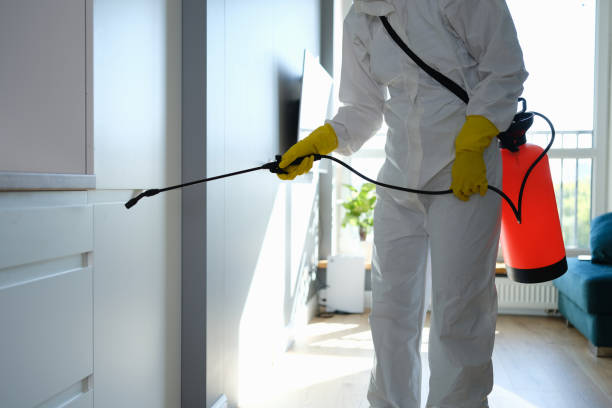 Best Mold Remediation for Schools in Mp Pendleton South, CA
