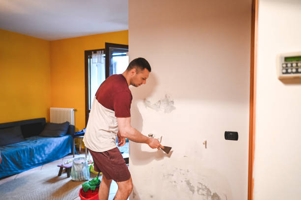 Best Insurance-Related Mold Remediation in Mp Pendleton South, CA